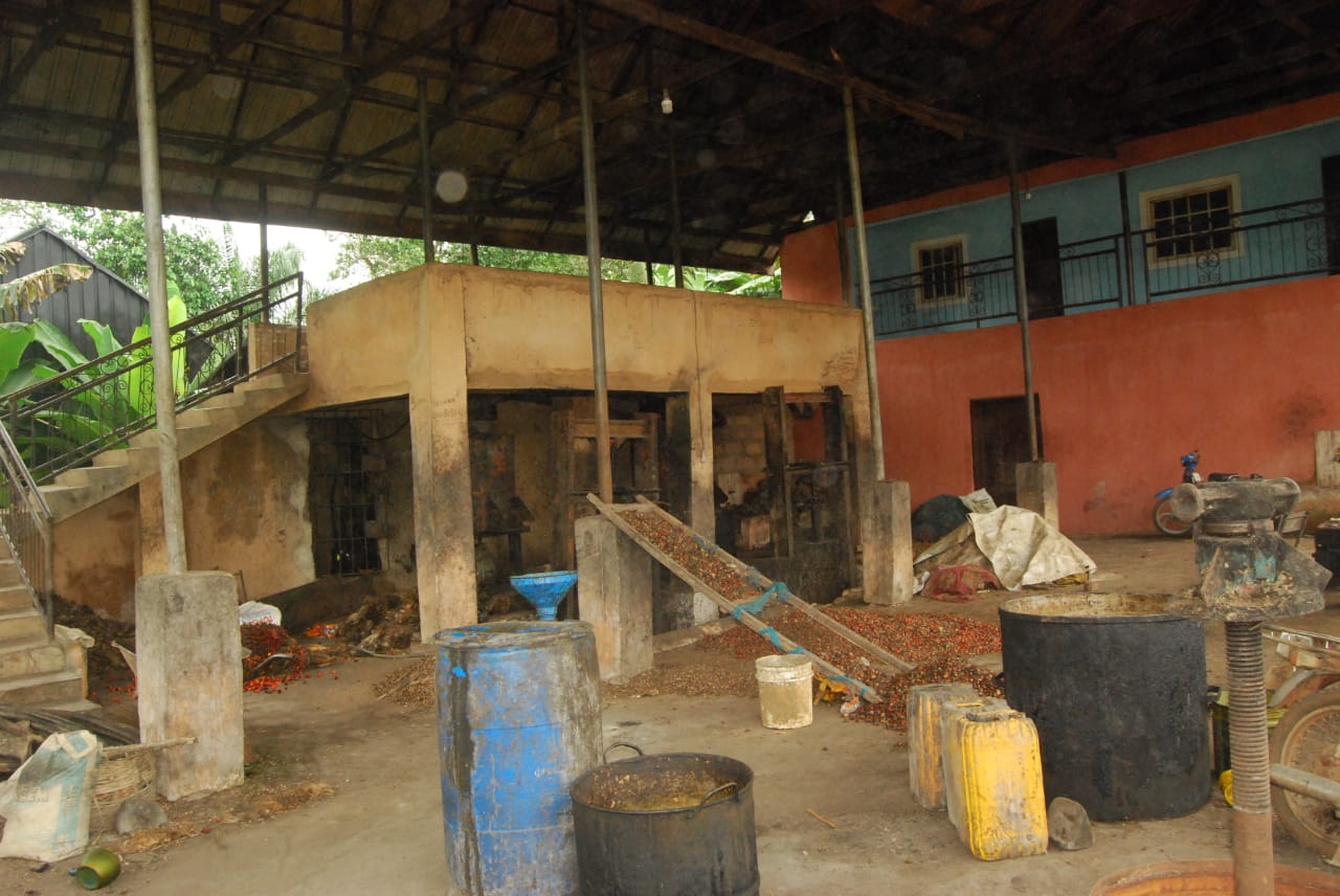 Umuomaku Palm produce